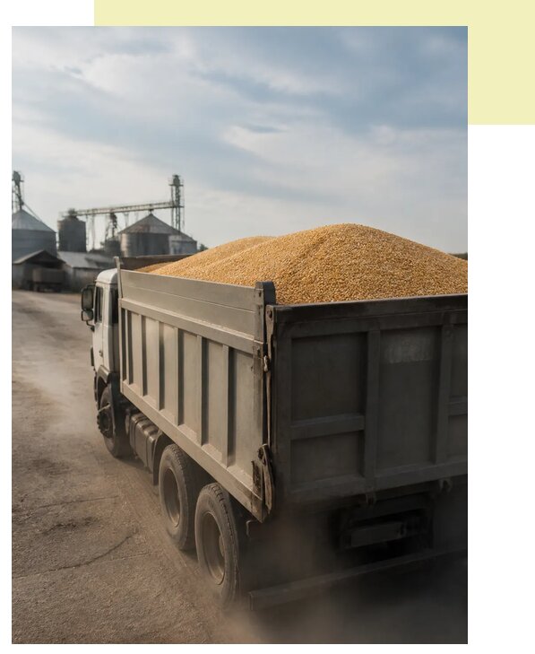 Перевозка сельхозпродукции навалом в Бийск по цене от 3116 р. | Агросервис-Бск